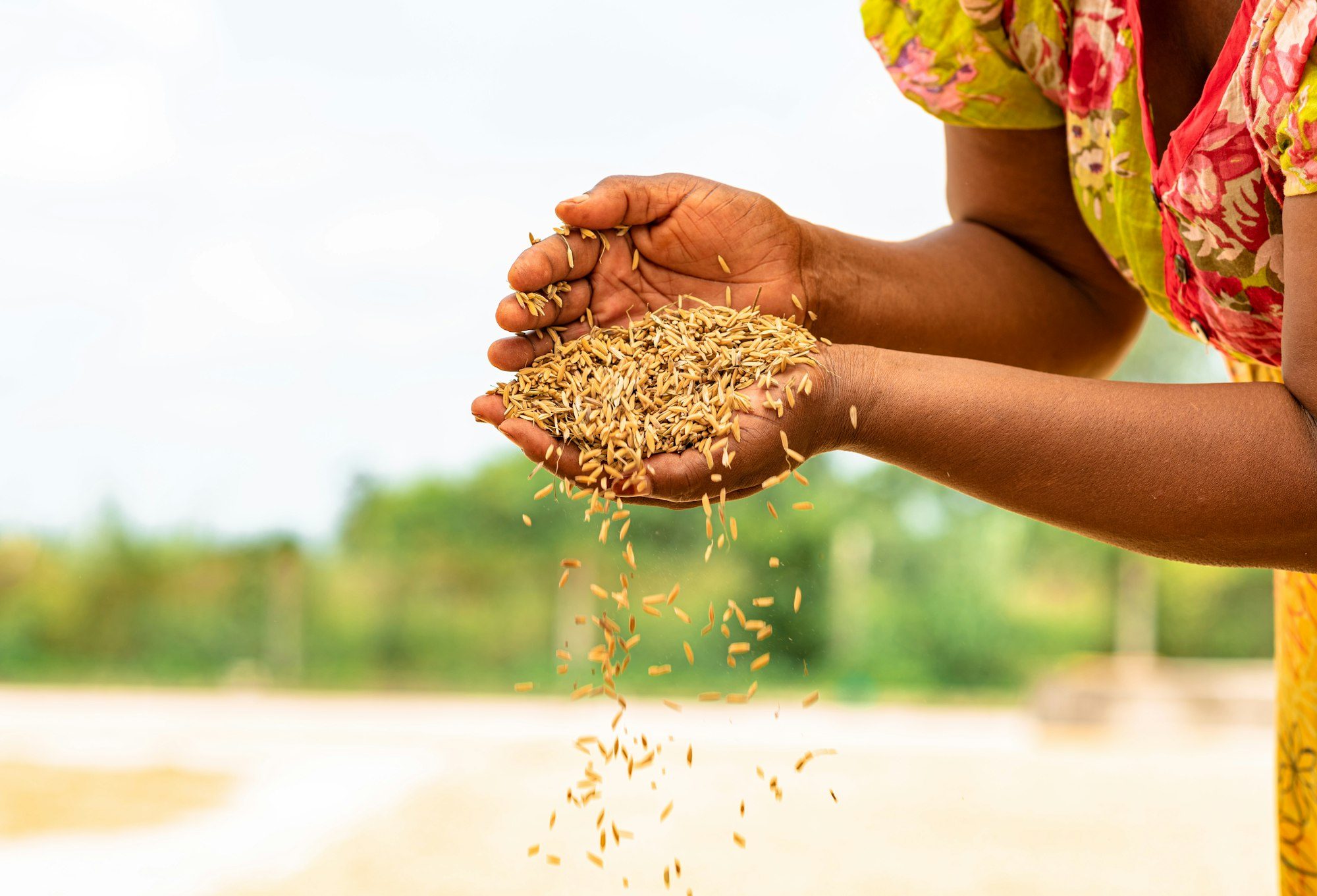 Grains dans les mains